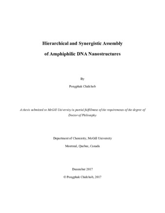 Hierarchical and synergistic assembly of amphiphilic DNA nanostructures thumbnail