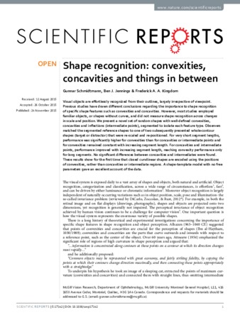 Shape recognition: convexities, concavities and things in between thumbnail