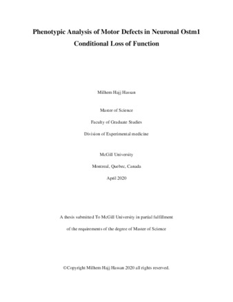 Phenotypic analysis of motor defects in neuronal Ostm1 conditional loss of function thumbnail