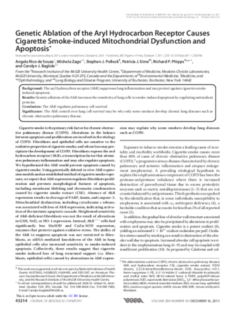 Genetic ablation of the aryl hydrocarbon receptor causes cigarette smoke-induced mitochondrial dysfunction and apoptosis thumbnail