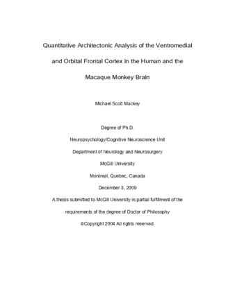 Quantitative architectonic analysis of the ventromedial and orbital frontal cortex in the human and the Macaque monkey brain thumbnail