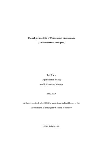 Cranial pneumaticity of «Ornithomimus edmontonicus» (Ornithomimidae: Theropoda) thumbnail