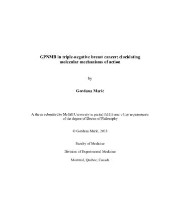 GPNMB in triple-negative breast cancers: elucidating molecular mechanisms of action thumbnail