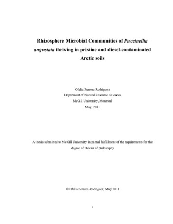 Rhizosphere microbial communities of Puccinella angustata thriving in pristine diesel-contaminated Arctic soils thumbnail