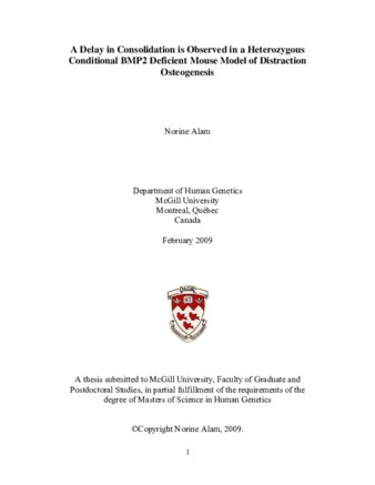 A delay in consolidation is observed in a heterozygous conditional BMP2 deficient mouse model of distraction osteogenesis thumbnail