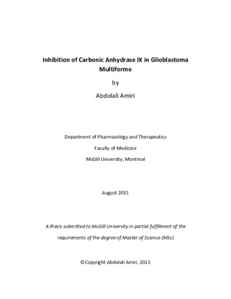 Inhibition of Carbonic Anhydrase IX in Glioblastoma Multiforme thumbnail