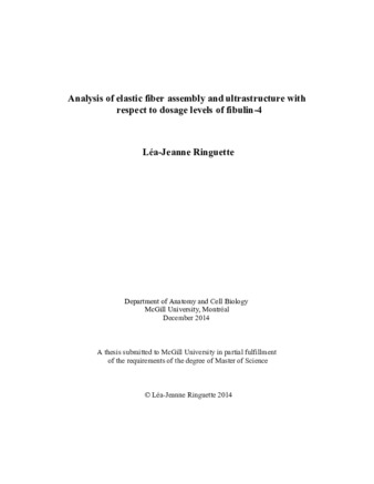 Analysis of elastic fiber assembly and ultrastructure with respect to dosage levels of fibulin-4 thumbnail