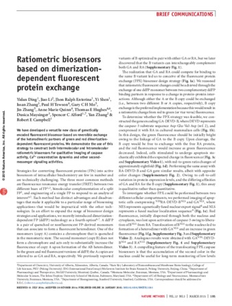 Ratiometric biosensors based on dimerization-dependent fluorescent protein exchange thumbnail