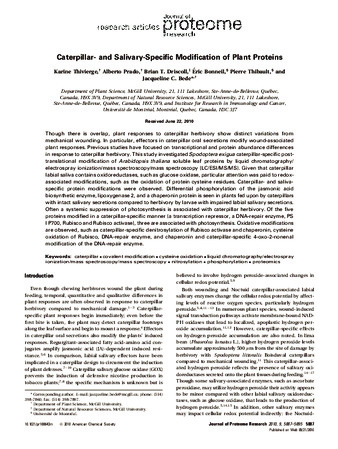 Caterpillar and Salivary-Specific Modification of Plant Proteins thumbnail