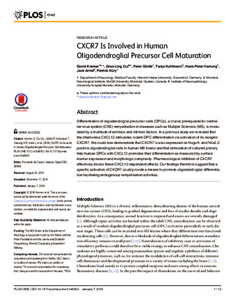 CXCR7 Is Involved in Human Oligodendroglial Precursor Cell Maturation thumbnail