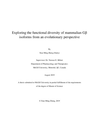Exploring the functional diversity of mammalian G-beta isoforms from an evolutionary perspective thumbnail