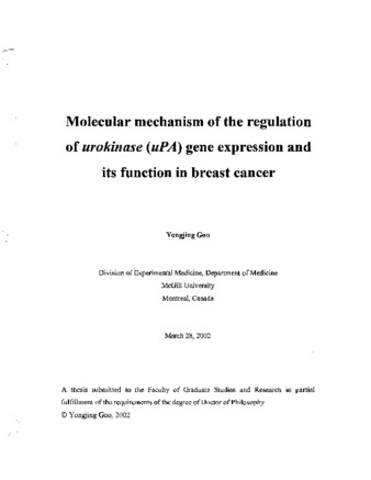 Molecular mechanism of the regulation of urokinase (uPA) gene expression and its function in breast cancer thumbnail