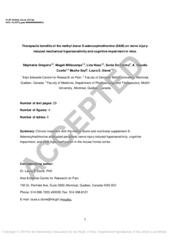 Therapeutic benefits of the methyl donor S-adenosylmethionine (SAM) on nerve injuryinduced mechanical hypersensitivity and cognitive impairment in mice thumbnail