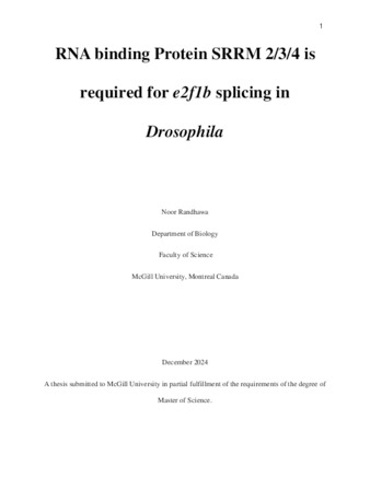 RNA binding protein SRRM 2/3/4 is required for e2f1b splicing in Drosophila thumbnail