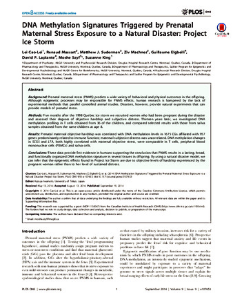 DNA Methylation Signatures Triggered by Prenatal Maternal Stress Exposure to a Natural Disaster: Project Ice Storm thumbnail