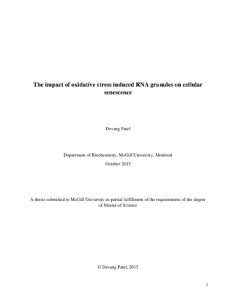 The impact of oxidative stress induced RNA granules on cellular senescence thumbnail