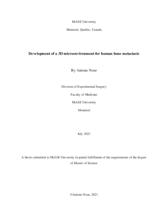 Development of a 3D microenvironment for human bone metastasis thumbnail