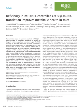 Deficiency in mTORC1-controlled C/EBPβ-mRNA translation improves metabolic health in mice thumbnail