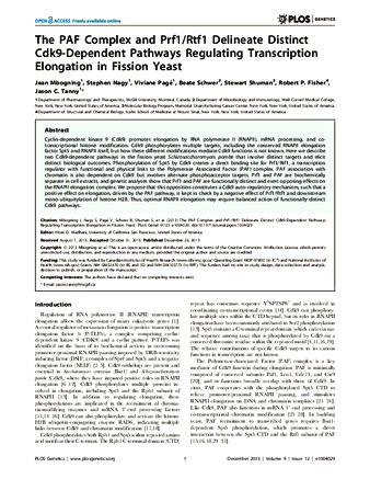 The PAF Complex and Prf1/Rtf1 Delineate Distinct Cdk9-Dependent Pathways Regulating Transcription Elongation in Fission Yeast thumbnail