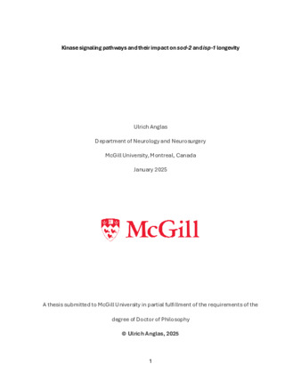 Kinase signaling pathways and their impact on sod-2 and isp-1 longevity thumbnail
