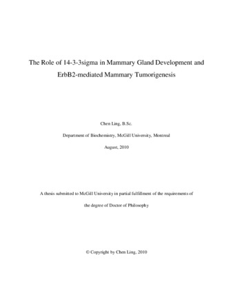 The role of 14-3-3 sigma in mammary gland development and ErbB2-mediated mammary tumorigenesis thumbnail