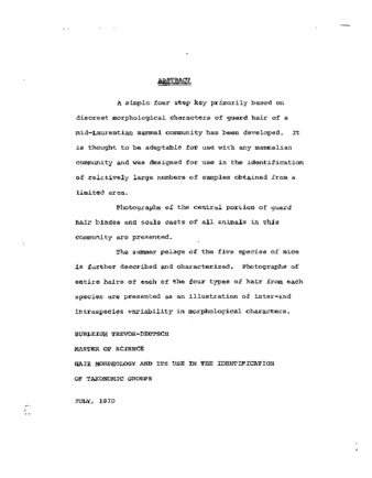 Hair morphology and its use in the identification of toxonomic groups. thumbnail