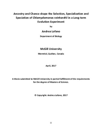 Ancestry and chance shape the selection, specialization and speciation of «Chlamydomonas reinhardtii» in a long-term evolution experiment thumbnail