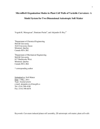 Microfibril organization modes in plant cell walls of variable curvature: a model system for two dimensional anisotropic soft matter thumbnail