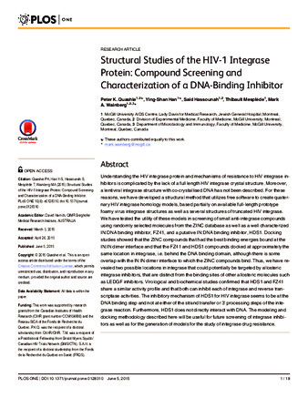 Structural Studies of the HIV-1 Integrase Protein: Compound Screening and Characterization of a DNA-Binding Inhibitor thumbnail