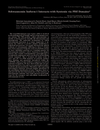 Schwannomin Isoform-1 Interacts with Syntenin via PDZ Domains* thumbnail