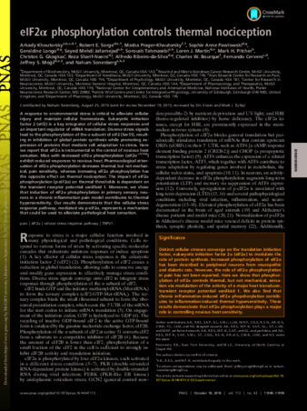 eIF2α phosphorylation controls thermal nociception thumbnail