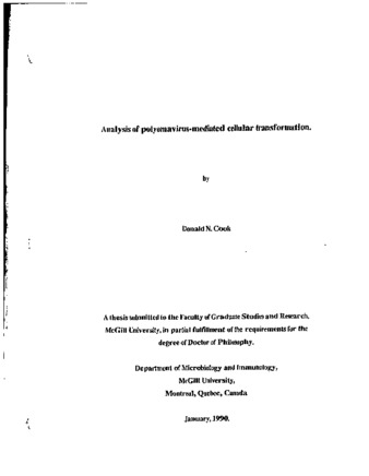 Analysis of polyomavirus-mediated cellular transformation thumbnail