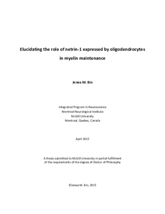 Elucidating the role of netrin-1 expressed by oligodendrocytes in myelin maintenance thumbnail