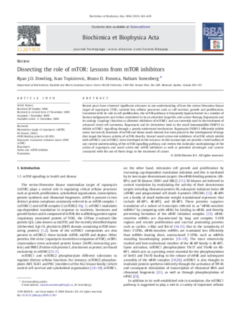 Dissecting the role of mTOR: Lessons from mTOR inhibitors thumbnail