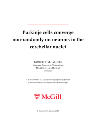 Purkinje cells converge non-randomly on neurons in the cerebellar nuclei thumbnail