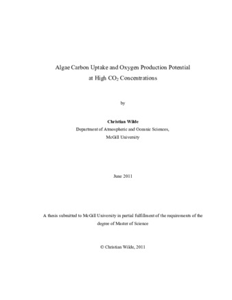 Algae carbon uptake and oxygen production potential at high carbon dioxide concentrations thumbnail