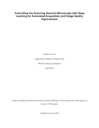 Controlling the Scanning Electron Microscope with Deep Learning for Automated Acquisition and Image Quality Improvement thumbnail