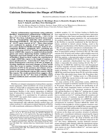 Calcium Determines the Shape of Fibrillin thumbnail