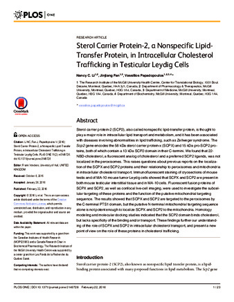 Sterol Carrier Protein-2, a Nonspecific Lipid-Transfer Protein, in Intracellular Cholesterol Trafficking in Testicular Leydig Cells thumbnail