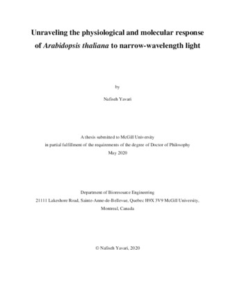 An integrated approach to unravel the physiological and molecular basis of «Arabidopsis thaliana» response to narrow-wavelength light thumbnail