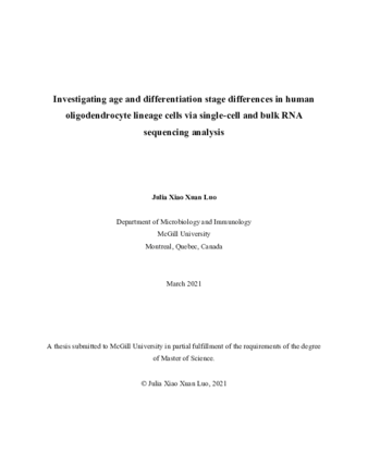 Investigating age and differentiation stage differences in human oligodendrocyte lineage cells via single-cell and bulk RNA sequencing analysis thumbnail