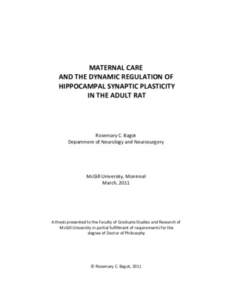 Maternal care and the dynamic regulation of hippocampal synaptic plasticity in the adult rat thumbnail