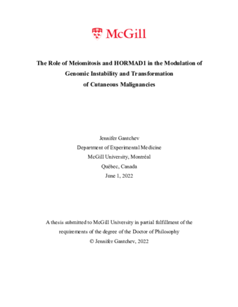 The role of meiomitosis and HORMAD1 in the modulation of genomic instability and transformation  of cutaneous malignancies thumbnail