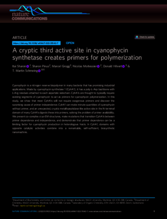 A cryptic third active site in cyanophycin synthetase creates primers for polymerization thumbnail