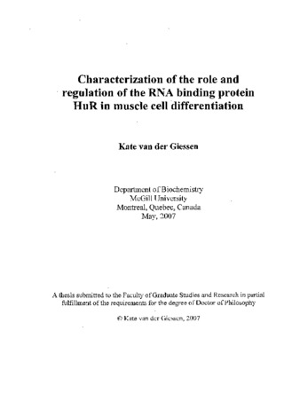 Characterization of the role and regulation of the RNA binding protein HuR in muscle cell differentiation thumbnail