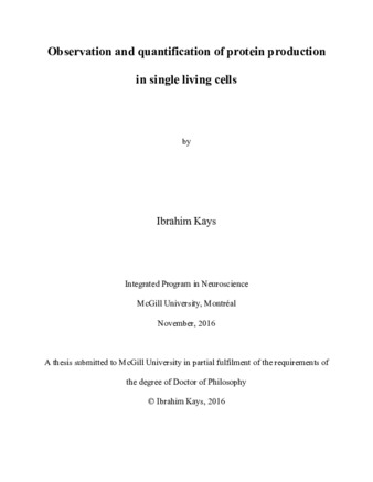 Example of protein image