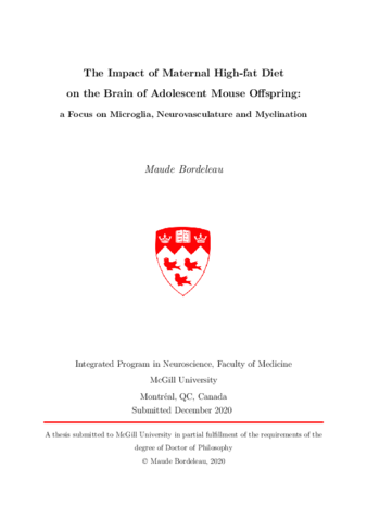 The impact of maternal high-fat diet on the brain of adolescent mouse offspring's brain: a focus on microglia, neurovasculature and myelination thumbnail