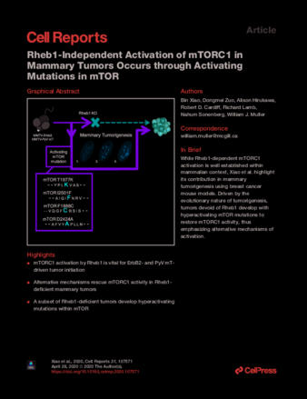 Rheb1-Independent Activation of mTORC1 in Mammary Tumors Occurs through Activating Mutations in mTOR thumbnail