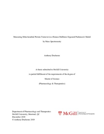 Measuring mitochondrial protein turnover in a human midbrain organoid Parkinson's model by mass spectrometry thumbnail