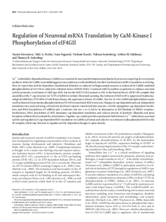 Regulation of Neuronal mRNA Translation by CaM-Kinase I Phosphorylation of eIF4GII thumbnail